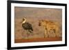 Woolly-necked stork (Ciconia episcopus), Zimanga private game reserve, KwaZulu-Natal-Ann and Steve Toon-Framed Photographic Print