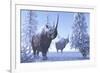 Woolly Rhino Males During a Snowy Winter in the Pleistocene Period-Stocktrek Images-Framed Art Print