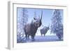 Woolly Rhino Males During a Snowy Winter in the Pleistocene Period-Stocktrek Images-Framed Art Print