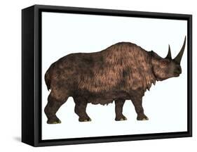 Woolly Rhinoceros, an Extinct Mammal from the Pleistocene Period-null-Framed Stretched Canvas