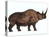 Woolly Rhinoceros, an Extinct Mammal from the Pleistocene Period-null-Stretched Canvas