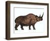 Woolly Rhinoceros, an Extinct Mammal from the Pleistocene Period-null-Framed Art Print