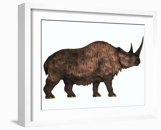 Woolly Rhinoceros, an Extinct Mammal from the Pleistocene Period-null-Framed Art Print