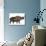 Woolly Rhinoceros, an Extinct Mammal from the Pleistocene Period-null-Art Print displayed on a wall