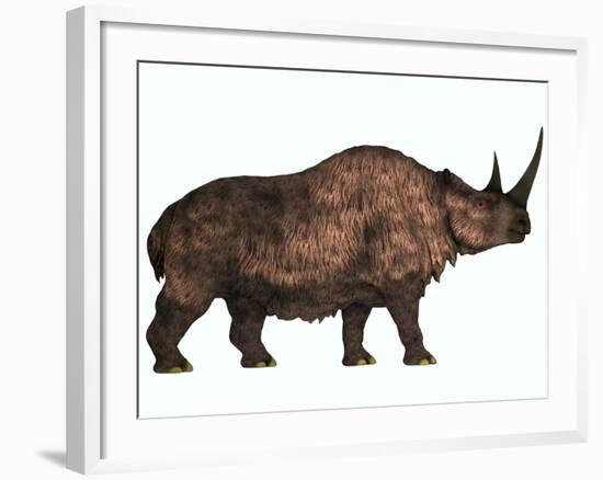 Woolly Rhinoceros, an Extinct Mammal from the Pleistocene Period-null-Framed Art Print