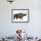 Woolly Rhinoceros, an Extinct Mammal from the Pleistocene Period-null-Framed Art Print displayed on a wall