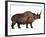 Woolly Rhinoceros, an Extinct Mammal from the Pleistocene Period-null-Framed Art Print