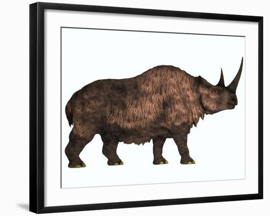 Woolly Rhinoceros, an Extinct Mammal from the Pleistocene Period-null-Framed Art Print