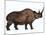 Woolly Rhinoceros, an Extinct Mammal from the Pleistocene Period-null-Mounted Art Print