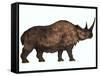 Woolly Rhinoceros, an Extinct Mammal from the Pleistocene Period-null-Framed Stretched Canvas