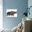 Woolly Rhinoceros, an Extinct Mammal from the Pleistocene Period-null-Stretched Canvas displayed on a wall