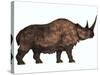 Woolly Rhinoceros, an Extinct Mammal from the Pleistocene Period-null-Stretched Canvas