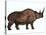 Woolly Rhinoceros, an Extinct Mammal from the Pleistocene Period-null-Stretched Canvas