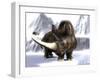 Woolly Rhinoceros-Christian Darkin-Framed Photographic Print