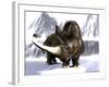 Woolly Rhinoceros-Christian Darkin-Framed Photographic Print