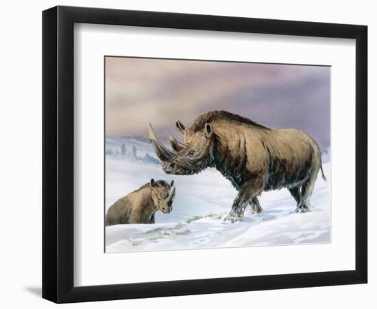 Woolly Rhinoceros-null-Framed Photographic Print