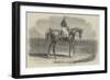 Woolwich, the Winner of the Emperor's Vase-Benjamin Herring-Framed Giclee Print