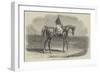 Woolwich, the Winner of the Emperor's Vase-Benjamin Herring-Framed Giclee Print