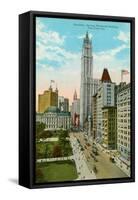 Woolworth Building, Broadway, New York City-null-Framed Stretched Canvas