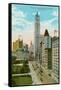 Woolworth Building, Broadway, New York City-null-Framed Stretched Canvas