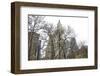 Woolworth Building from City Hall Park-Erin Clark-Framed Giclee Print