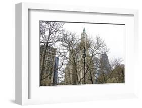 Woolworth Building from City Hall Park-Erin Clark-Framed Giclee Print