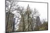 Woolworth Building from City Hall Park-Erin Clark-Mounted Giclee Print