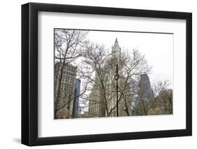 Woolworth Building from City Hall Park-Erin Clark-Framed Art Print