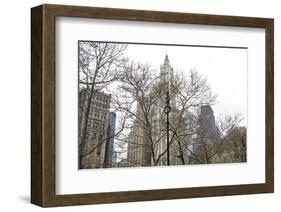 Woolworth Building from City Hall Park-Erin Clark-Framed Art Print