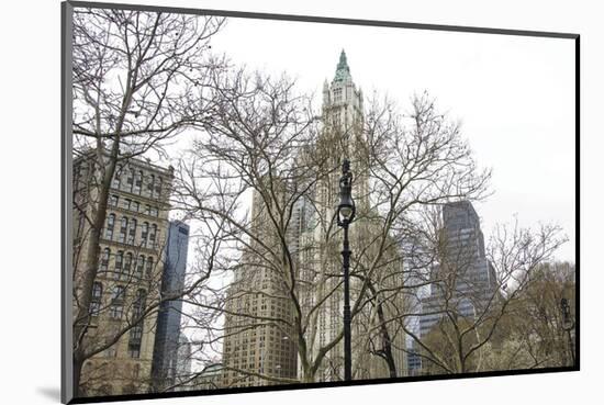 Woolworth Building from City Hall Park-Erin Clark-Mounted Art Print