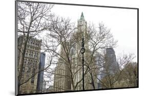 Woolworth Building from City Hall Park-Erin Clark-Mounted Art Print