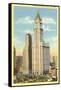 Woolworth Building, New York City-null-Framed Stretched Canvas