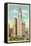 Woolworth Building, New York City-null-Framed Stretched Canvas