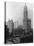 Woolworth Building, New York-null-Stretched Canvas