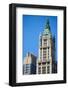 Woolworth Building-SeanPavonePhoto-Framed Photographic Print