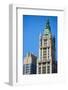 Woolworth Building-SeanPavonePhoto-Framed Photographic Print