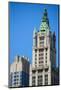 Woolworth Building-SeanPavonePhoto-Mounted Photographic Print