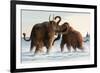 Wooly Mammoths-Lantern Press-Framed Premium Giclee Print