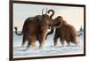 Wooly Mammoths-Lantern Press-Framed Art Print