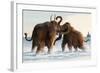 Wooly Mammoths-Lantern Press-Framed Art Print