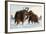 Wooly Mammoths-Lantern Press-Framed Art Print