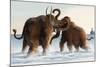 Wooly Mammoths-Lantern Press-Mounted Art Print