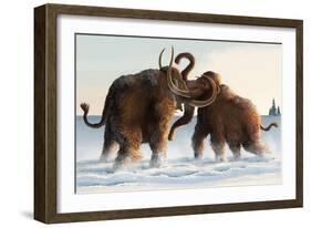 Wooly Mammoths-Lantern Press-Framed Art Print