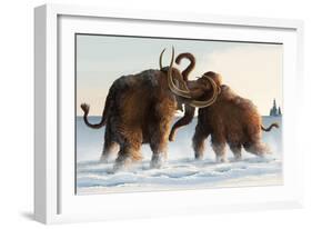 Wooly Mammoths-Lantern Press-Framed Art Print