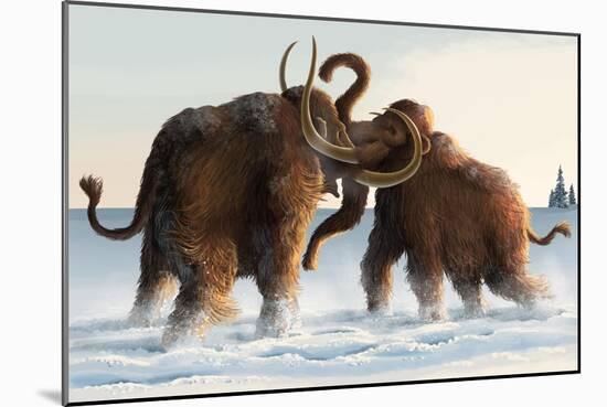 Wooly Mammoths-Lantern Press-Mounted Art Print