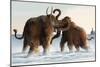 Wooly Mammoths-Lantern Press-Mounted Art Print