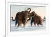 Wooly Mammoths-Lantern Press-Framed Art Print