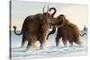 Wooly Mammoths-Lantern Press-Stretched Canvas