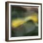 Woosh II-PI Studio-Framed Art Print