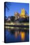 Worcester Cathedral on the River Severn Floodlit at Dusk, Worcester, Worcestershire, England, UK-Stuart Black-Stretched Canvas